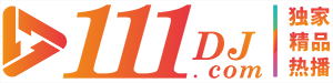 111DJ.com
